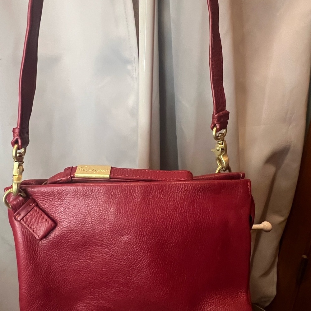 Foley + Corinna Red Crossbody Bag with Gold Hardware - Picture 2 of 14